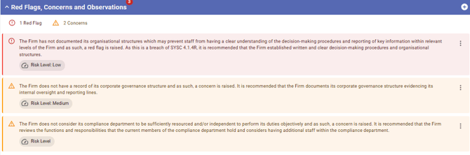 red flags , concerns and objectives